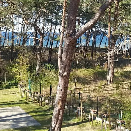 アパート Dwie Sosny Ostrowski ウストロニエ・モルスキエ