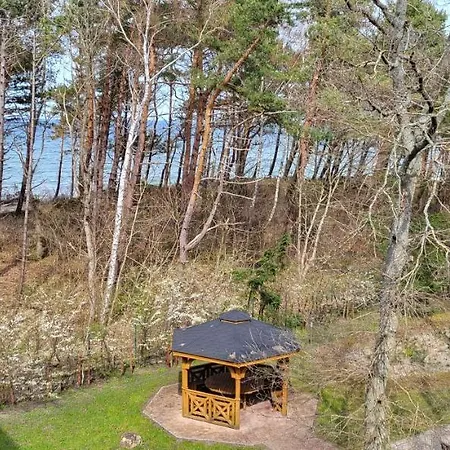 Dwie Sosny Ostrowski