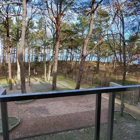 Dwie Sosny Ostrowski ウストロニエ・モルスキエ