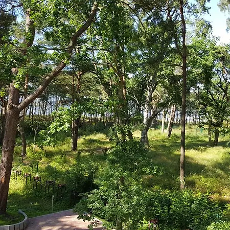 Dwie Sosny Ostrowski アパート ウストロニエ・モルスキエ