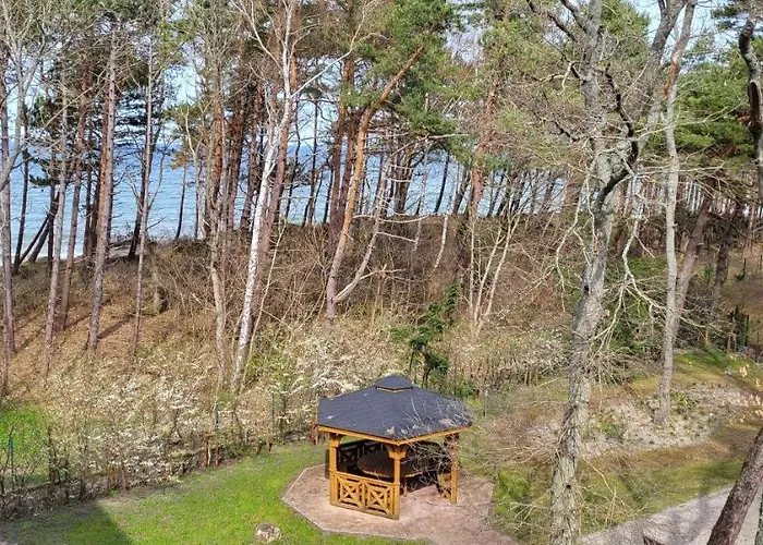 Dwie Sosny Ostrowski