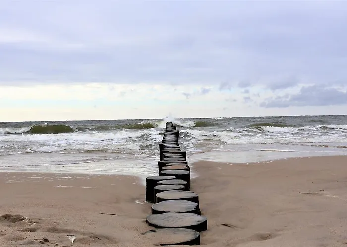 Dwie Sosny Ostrowski *