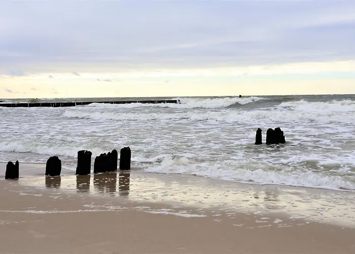 Dwie Sosny Ostrowski Apartment *